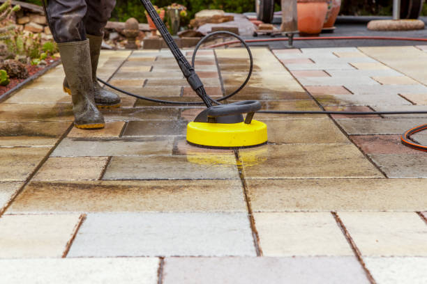 Best Animal Enclosure Cleaning  in Catlettsburg, KY